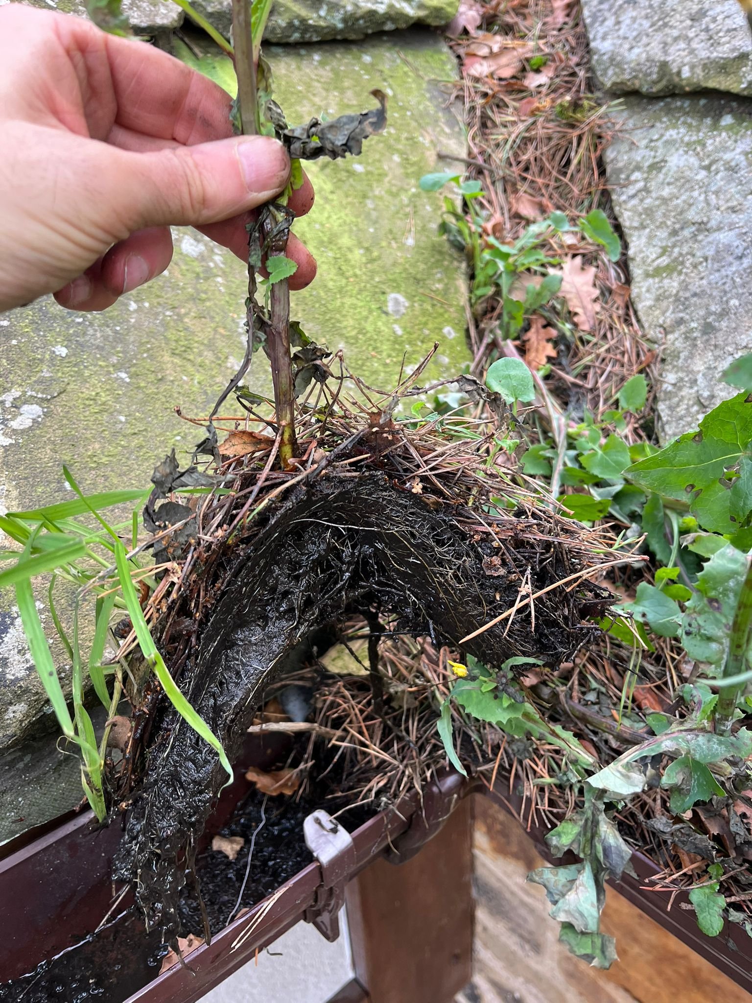 WhatsApp Image 2026-02-17 at 5.32.16 PM (1)