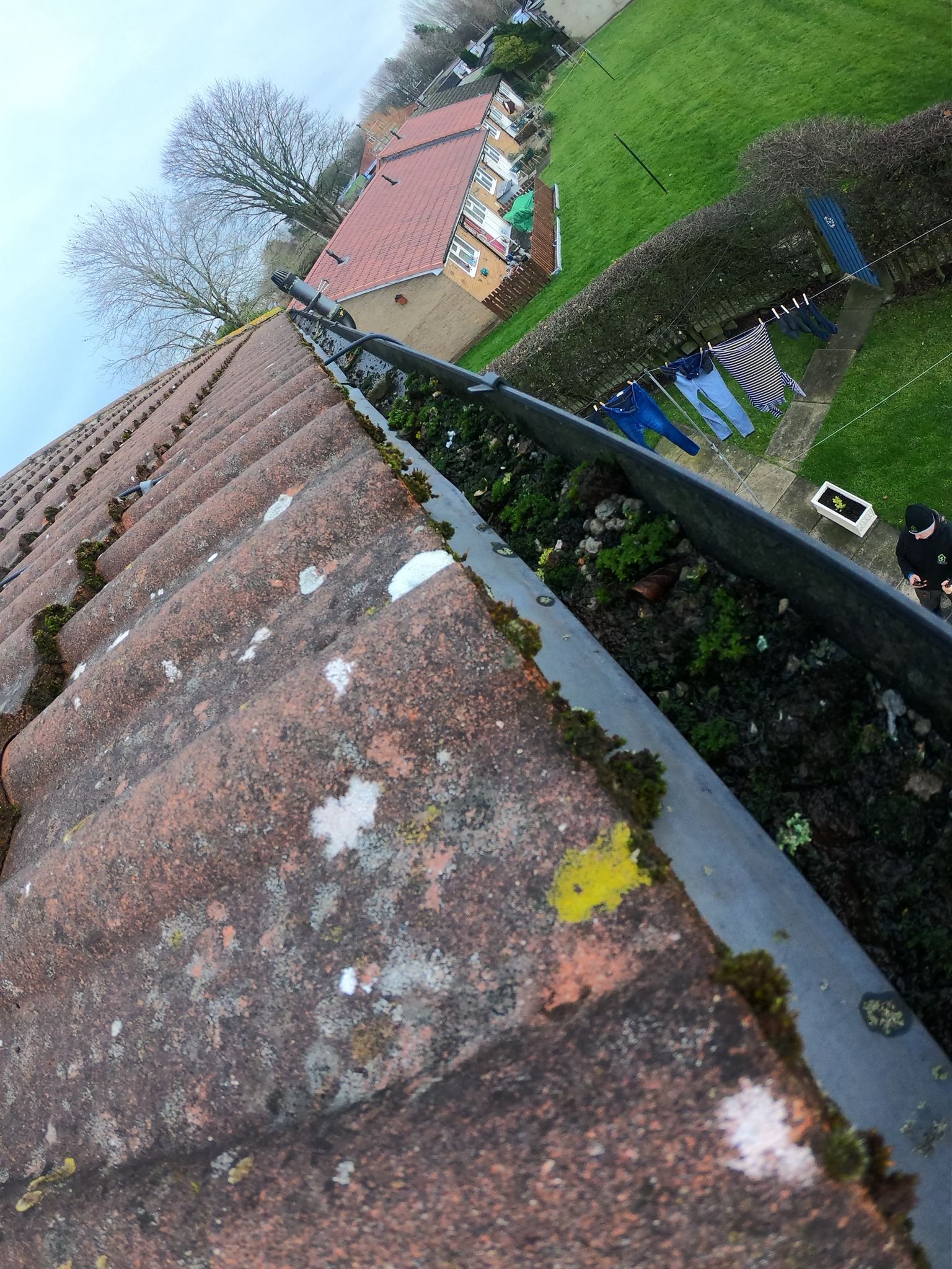 WhatsApp Image 2026-02-17 at 5.32.16 PM (5)